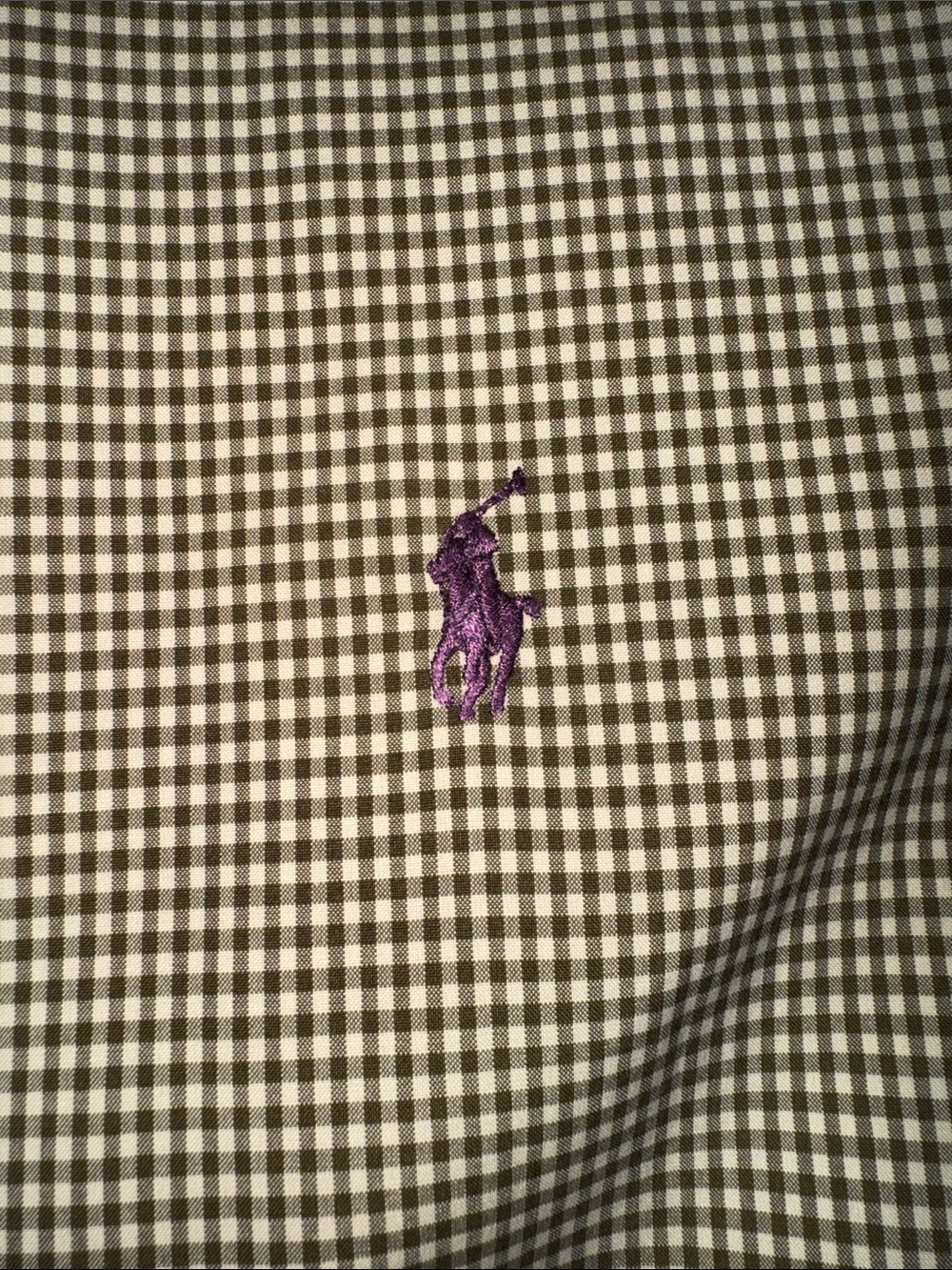 Ralph Lauren Brown and Cream and Tan Gingham Button-Up with Purple Pony - Picture 1 of 5
